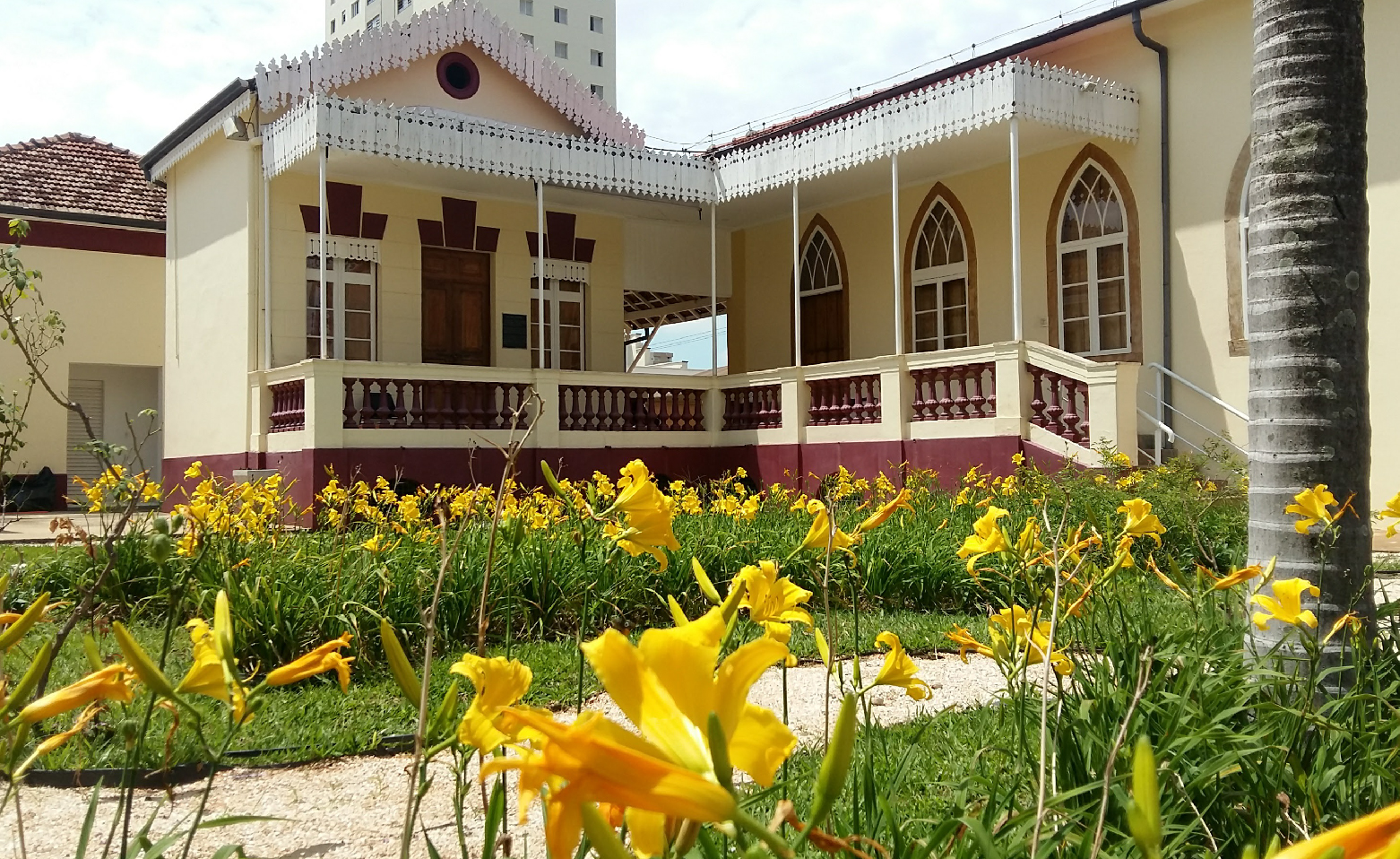 Fotografia colorida do jardim e da fachada do escritório do Museu Prudente de Moraes. Em primeiro plano, as flores de pétalas amarelas e compridas nos canteiros. Ao fundo, a varanda em frente ao escritório. As paredes são em amarelo claro, com uma faixa roxa horizontal na parte inferior. A porta de madeira entre as duas grandes janelas está fechada. No lado direito da imagem, a parede externa lateral do Museu, com janelas em arcos ogivais. O tronco de uma palmeira está na extremidade direita da foto. 