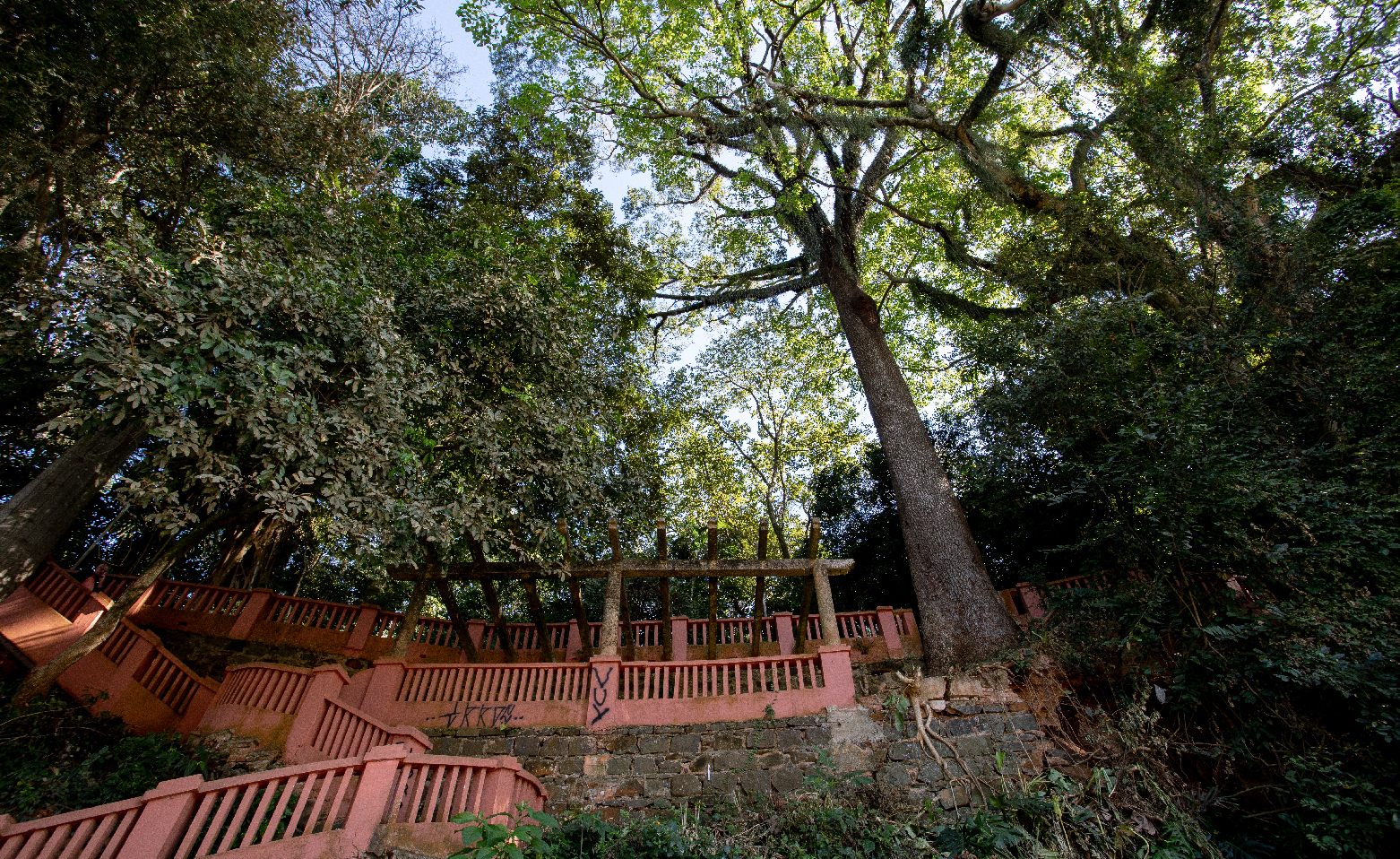Fotografia colorida que mostra uma parte do Parque do Mirante. Tirada de baixo para cima. Na parte inferior até a central, os guarda-corpos e muretas vermelhas, cercada por arbustos. Do centro até a parte superior, os troncos das árvores altas e suas grandes copas. 