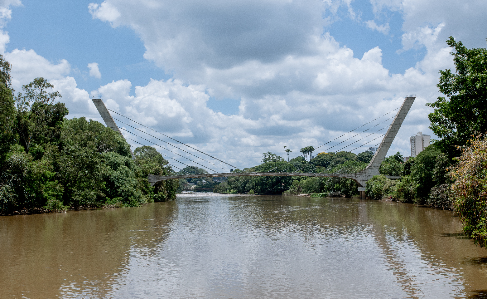 Fotografia colorida da Passarela Estaiada que liga as duas margens do Rio Piracicaba, que está com as águas calmas e barrentas. Como se estivéssemos flutuando sobre o rio, vemos a passarela ao longe. Nas margens, as árvores, arbustos e outras plantas da densa mata ciliar. 
