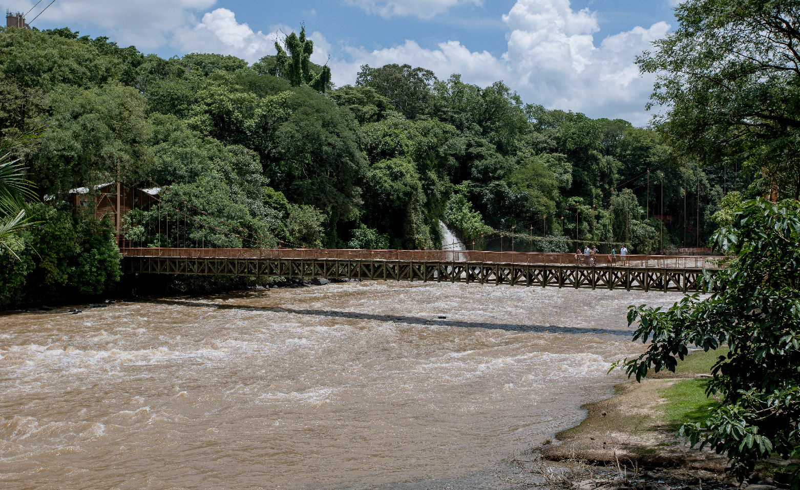 Fotografia colorida da passarela que liga as duas margens do largo Rio Piracicaba. De longe, a passarela é vista sobre as águas barrentas do rio. Nas margens, a abundante vegetação nativa. 